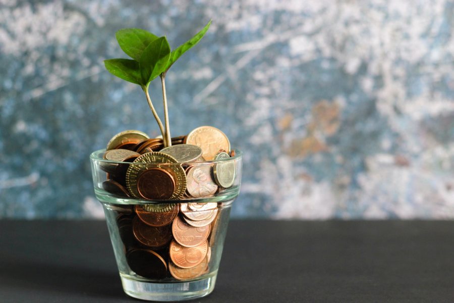 Plant sprouting from a glass of coins
