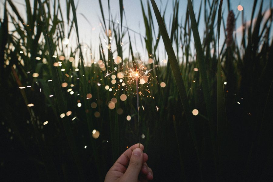 Hand holding a sparkler near tall grass