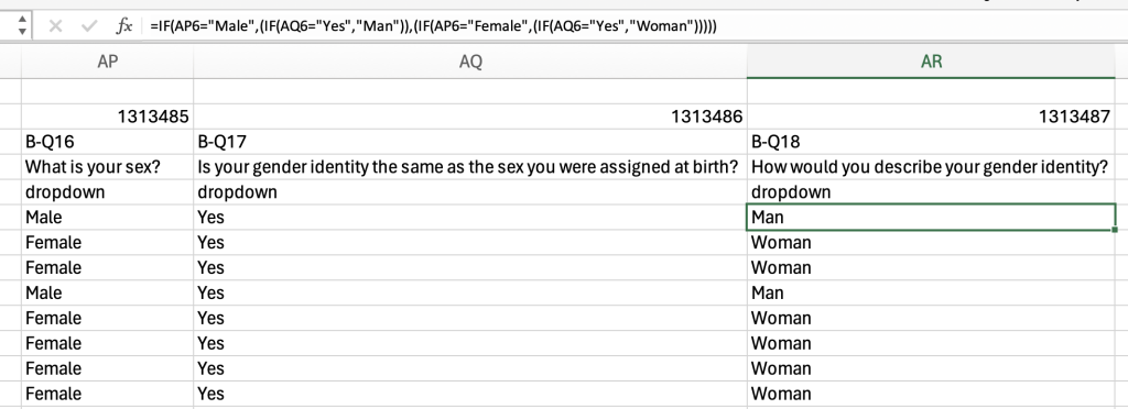 Screenshot showing formula in Excel to establish If Male And Yes, then Man.