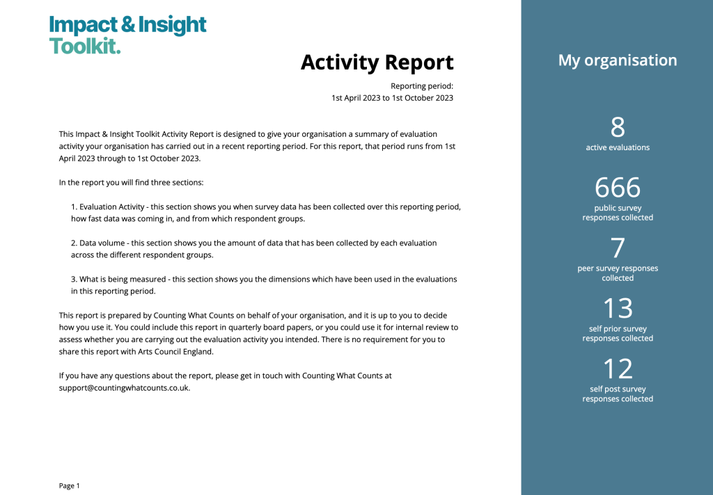 Screenshot of the front page of an Activity Report