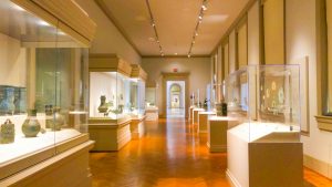 A light colour museum with glass cases exhibiting historical artefacts